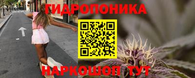 шишки Рузаевка